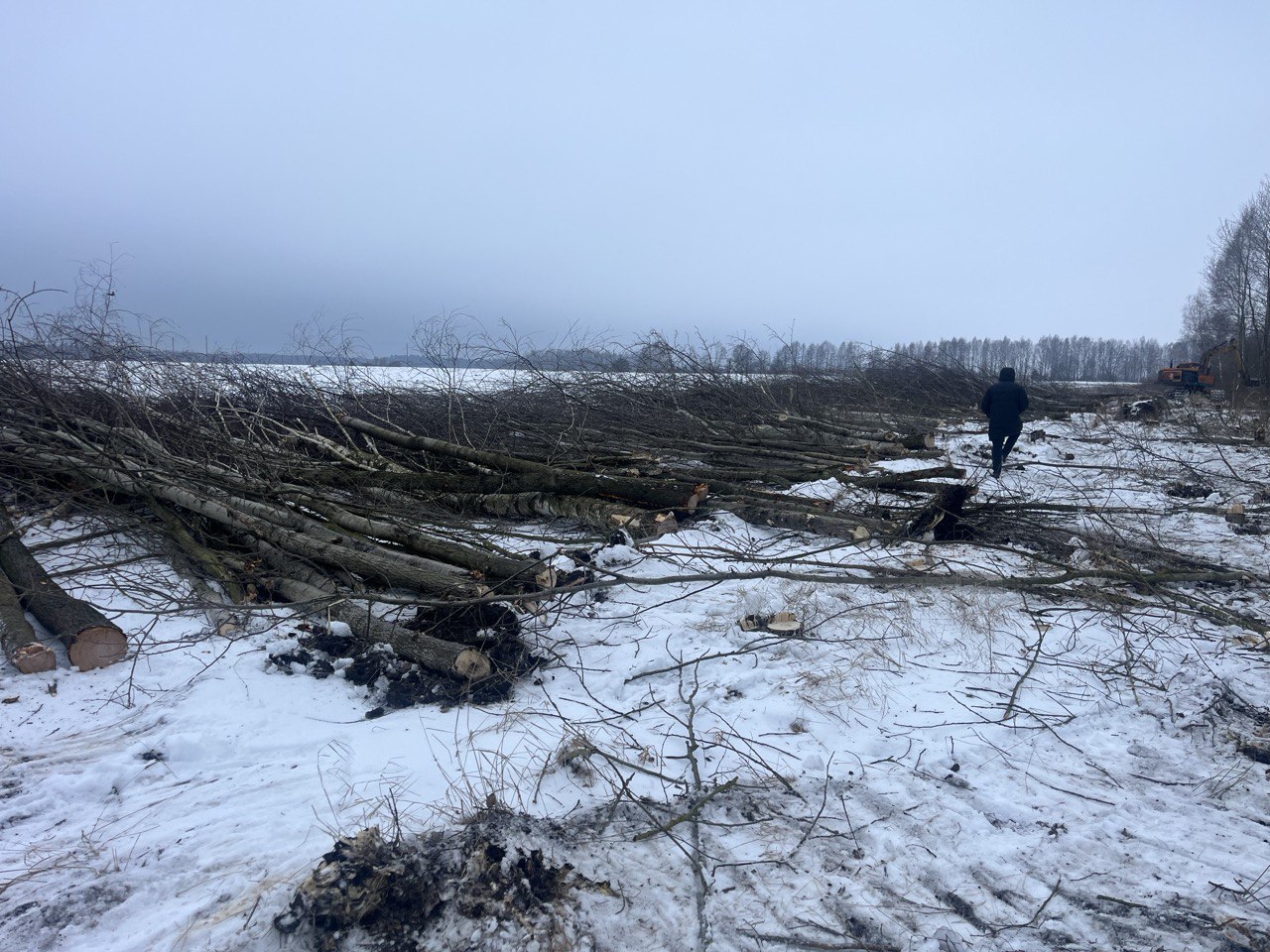 Валка леса складирование грейфером  валочным захватом KIBBLER SD2-350