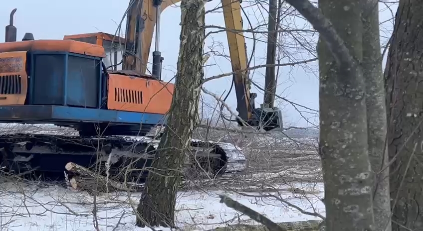 Валка леса экскаватором с валочным захватом KIBBLER SD2-350